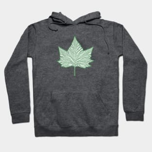 Sycamore Leaf Hoodie